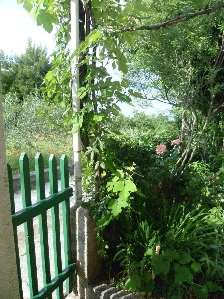 Seaview Holiday Apartments 슬라티네 외부 사진